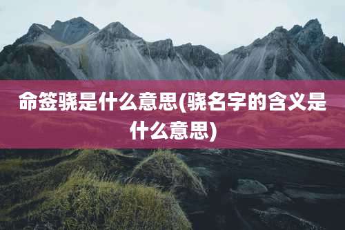命签骁是什么意思(骁名字的含义是什么意思)