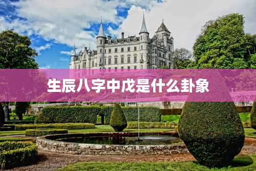 生辰八字中戊是什么卦象