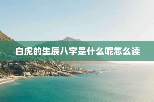 白虎的生辰八字是什么呢怎么读