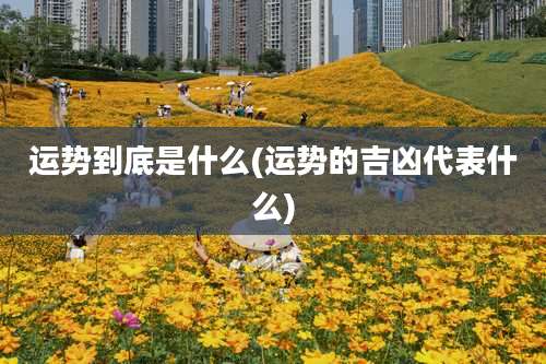 运势到底是什么(运势的吉凶代表什么)