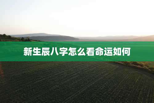 新生辰八字怎么看命运如何