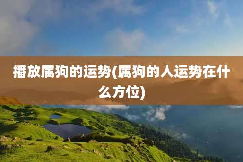 播放属狗的运势(属狗的人运势在什么方位)