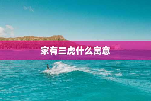 家有三虎什么寓意