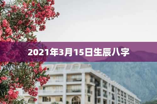 2021年3月15日生辰八字