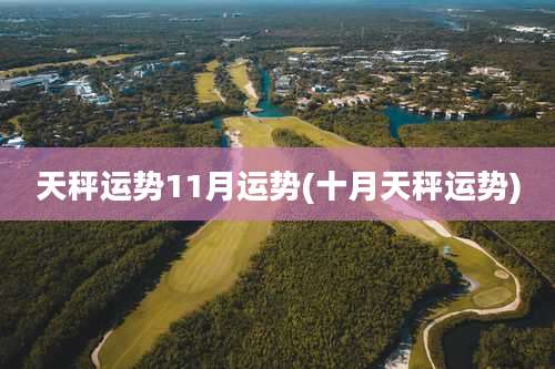 天秤运势11月运势(十月天秤运势)