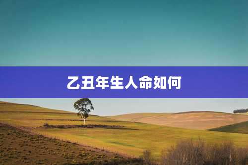 乙丑年生人命如何