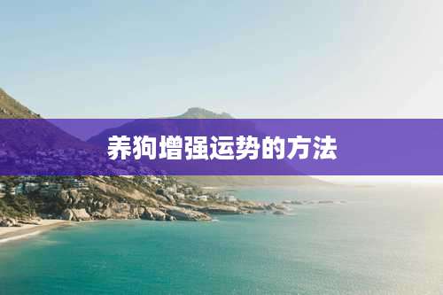 养狗增强运势的方法