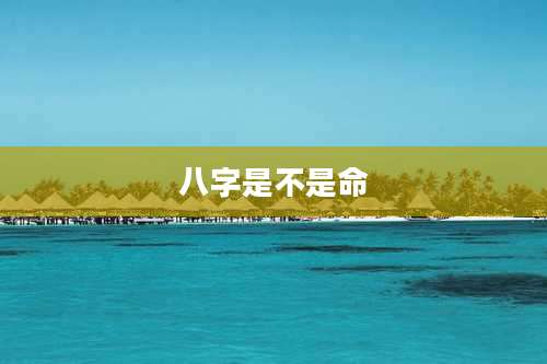 八字是不是命