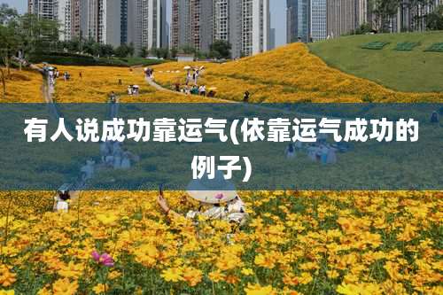 有人说成功靠运气(依靠运气成功的例子)
