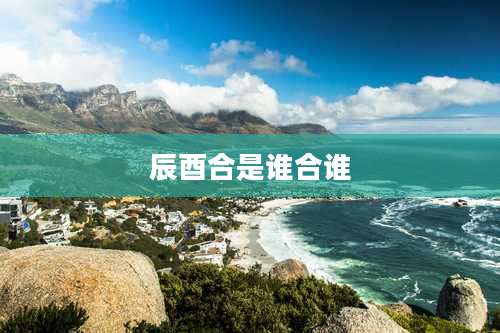 辰酉合是谁合谁