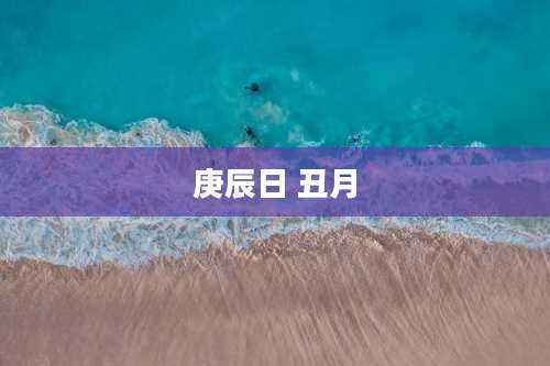 庚辰日 丑月