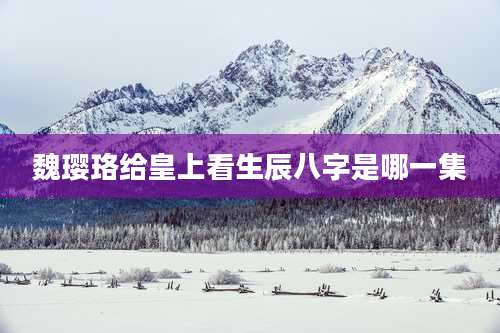 魏璎珞给皇上看生辰八字是哪一集