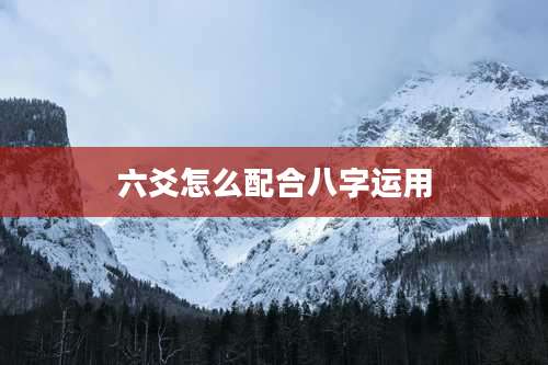 六爻怎么配合八字运用