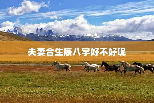夫妻合生辰八字好不好呢