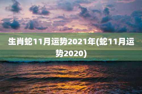 生肖蛇11月运势2021年(蛇11月运势2020)