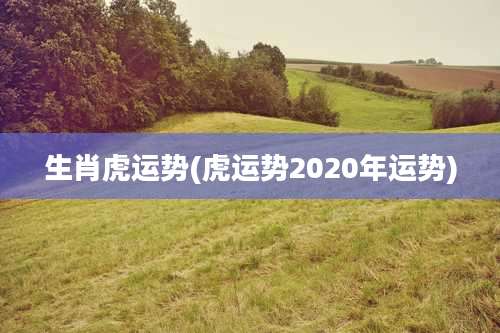 生肖虎运势(虎运势2020年运势)