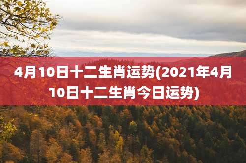 4月10日十二生肖运势(2021年4月10日十二生肖今日运势)