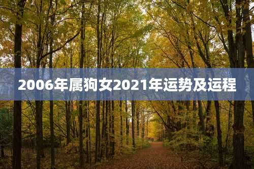 2006年属狗女2021年运势及运程