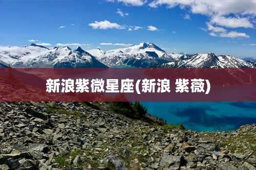 新浪紫微星座(新浪 紫薇)