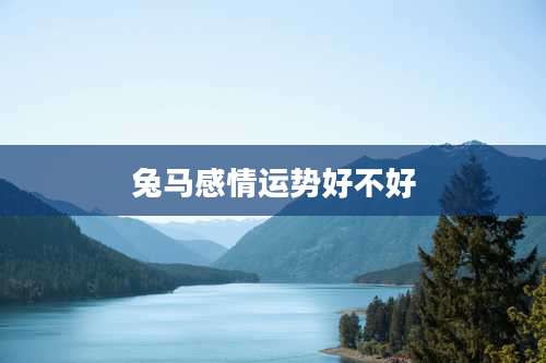 兔马感情运势好不好