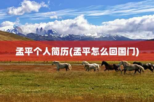孟平个人简历(孟平怎么回国门)
