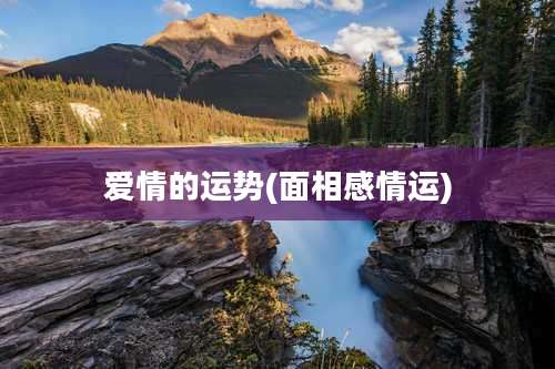 爱情的运势(面相感情运)