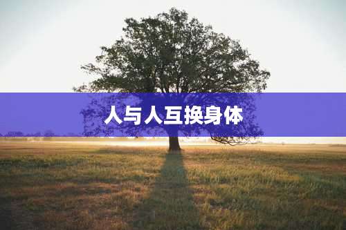 人与人互换身体