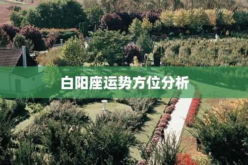 白阳座运势方位分析