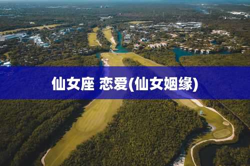 仙女座 恋爱(仙女姻缘)