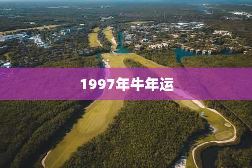 1997年牛年运