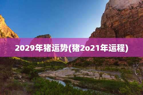 2029年猪运势(猪2o21年运程)