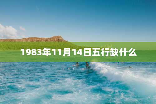 1983年11月14日五行缺什么