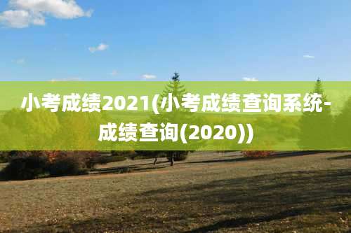 小考成绩2021(小考成绩查询系统-成绩查询(2020))
