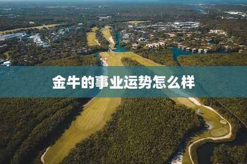 金牛的事业运势怎么样