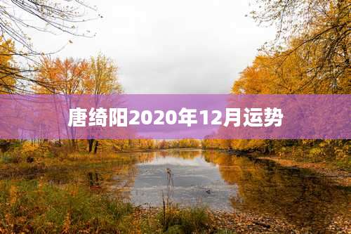 唐绮阳2020年12月运势