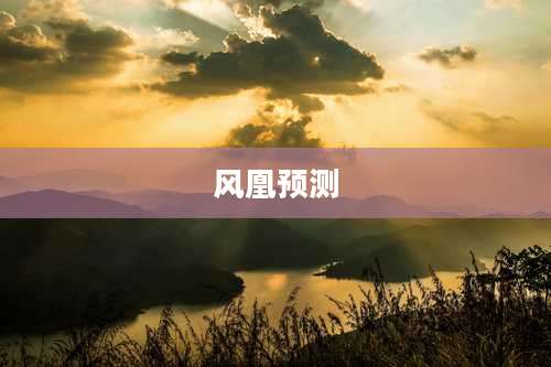 风凰预测