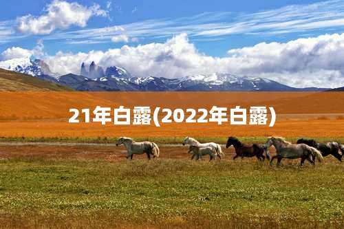 21年白露(2022年白露)