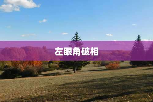 左眼角破相