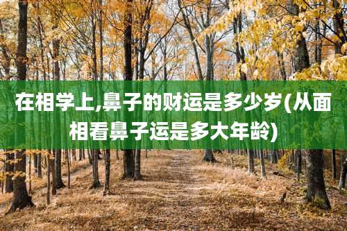 在相学上,鼻子的财运是多少岁(从面相看鼻子运是多大年龄)