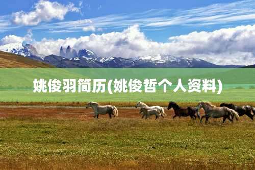 姚俊羽简历(姚俊哲个人资料)