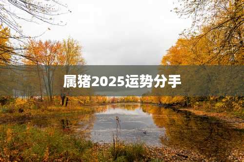 属猪2025运势分手