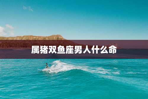 属猪双鱼座男人什么命