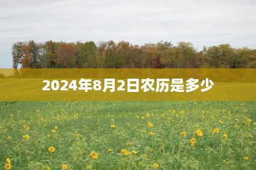 2024年8月2日农历是多少