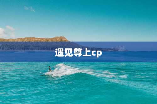 遇见尊上cp
