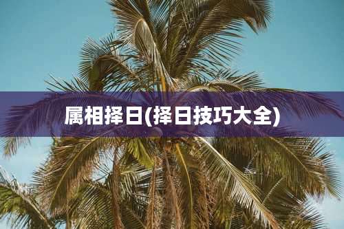 属相择日(择日技巧大全)