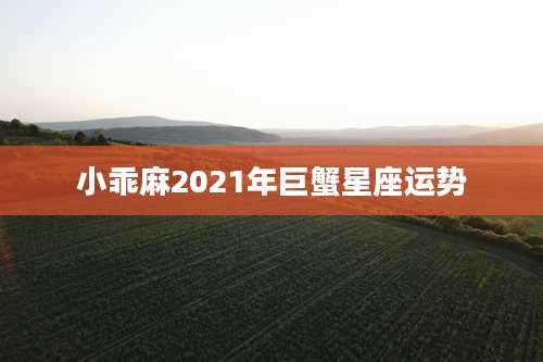 小乖麻2021年巨蟹星座运势