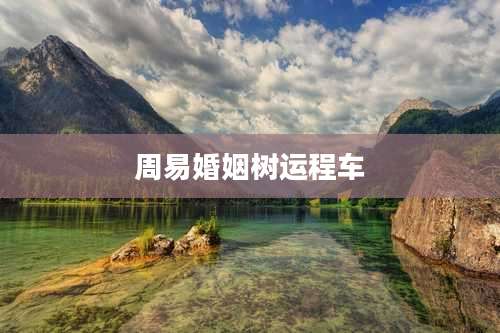 周易婚姻树运程车