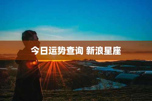 今日运势查询 新浪星座