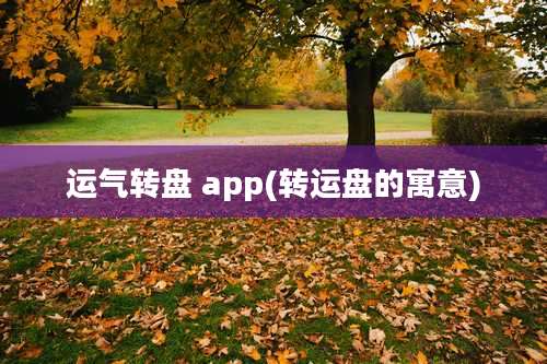 运气转盘 app(转运盘的寓意)