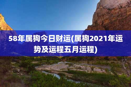 58年属狗今日财运(属狗2021年运势及运程五月运程)